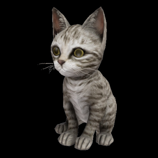 肩に乗りたがる猫