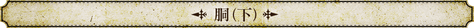 胴(下)
