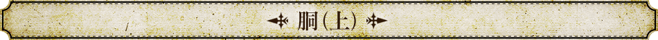 胴(上)