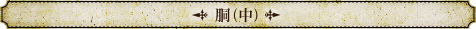 胴(中)