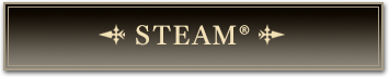 STEAM 製品版マニュアル